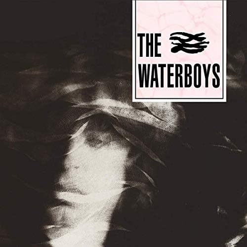 洋楽 THE WATERBOYS / 1985 (Deluxe Edition) Amazon.com: 1985 (Deluxe Edition) - 6CD Book Box Set: CDs & Vinyl
